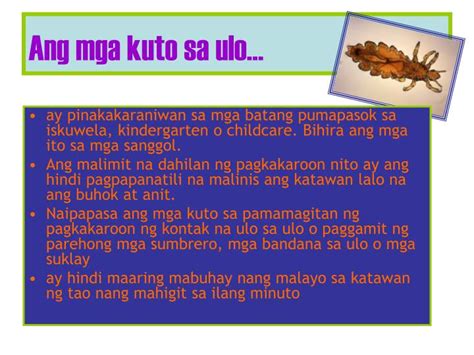 pinugutan ng ulo sa panaginip meaning|Pinugaran ng kuto ang ulo .